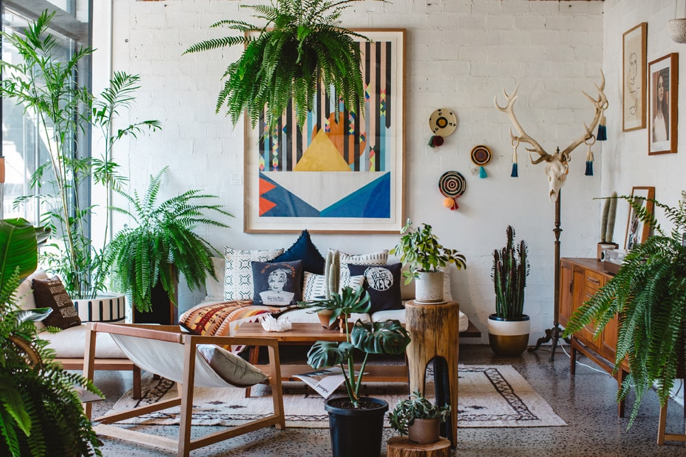 Boho living room with lots of house plants