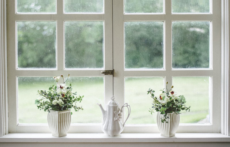 White windows with two plants on shelf 