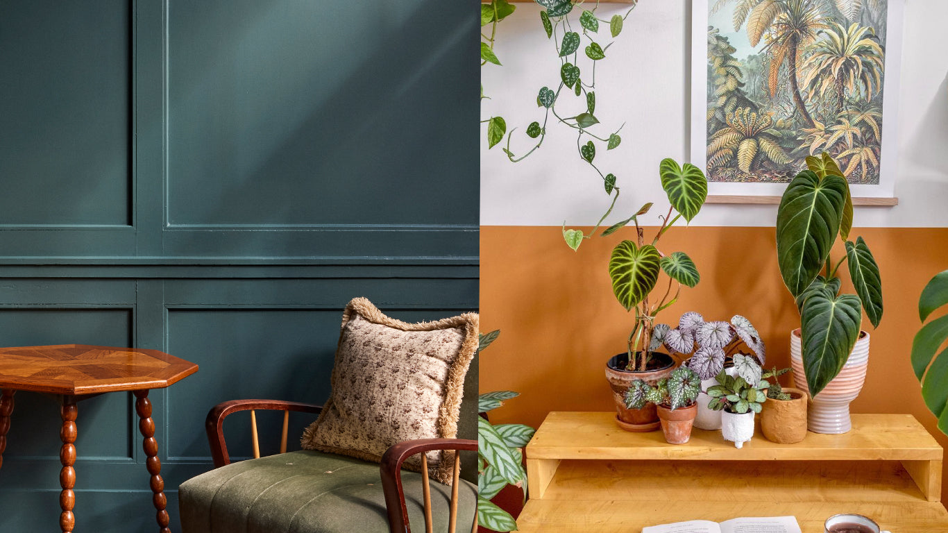 Lick's 2023 paint colour palette of the year