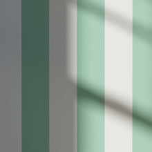 Load image into Gallery viewer, Painted Stripe 01